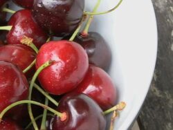 Bowl of cherry's on garden table Stock Footage