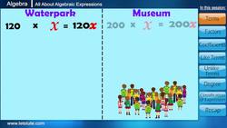 All About Algebraic Expressions Instructional Video