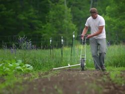 WS LA SLO MO TS View of Farmer planting seeds at organic farm / Chatham, Michigan, United States Stock Footage