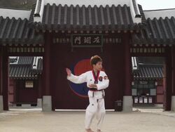  WS Boy doing taekwondo / Kyungkido, Bucheon, South Korea Stock Footage
