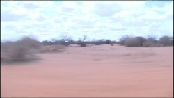 Worst Drought in a Decade Causing Hunger Crisis News Clip