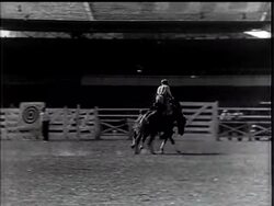 American Cowboys Pay Visit To Paris News Clip