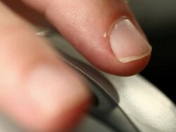 Using the Mouse Stock Footage