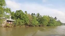 Navigating the Mekong delta Stock Footage