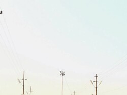 MS TD Shot of pilgrims in Kumbh Mela / Allahabad, Uttar Pradesh, India Stock Footage