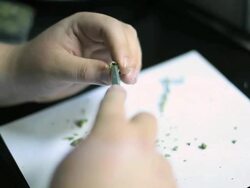 Marijuana Stock Footage