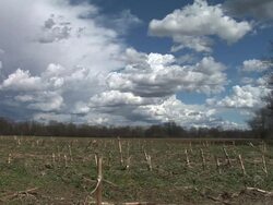 HD: Cloudy weather Stock Footage