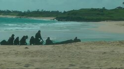 Japan joins US and other countries storming Hawaii beach during maritime exercises News Clip