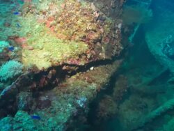 Nippo, tank, coral on tank with light, Chuuk Lagoon, South Pacific  Stock Footage