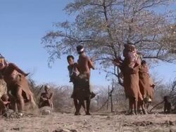 Ju hoansi San Bushwomen of Nyae Nyae, traditional dancing, Namibia Stock Footage