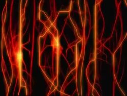 Nervous PAL Stock Footage