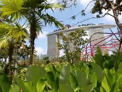 A Walk Through Singapore's Gardens By The Bay Stock Footage