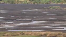 A dump truck and bulldozer operate on a natural asphalt lake in Trinidad. Stock Footage