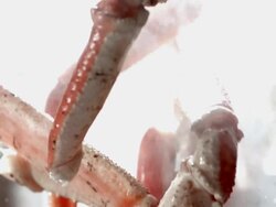 SLO MO ECU View of tossed crab legs in air and lemons in  background / Los Angeles,CA,USA Stock Footage