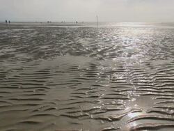 WS View of sea ebb tide at wadden sea and people walking down in, world heritage natural site, North Sea North Frisia, / St. Peter Ording, Schleswig Holstein, Germany Stock Footage