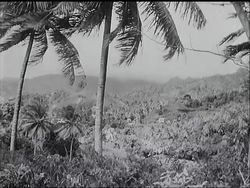 WEST INDIES HAIL THE PRINCESS News Clip