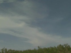 Blue sky, beach, sea and mangroves,  Australia Stock Footage