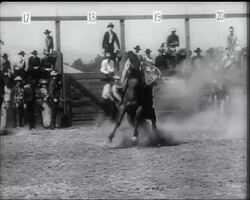 CALIFORNIAN RODEO News Clip