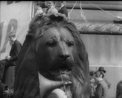 RAIN STOPS PEACE RALLY News Clip