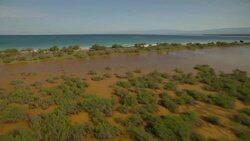 Swampland stretches to the ocean's coast. Stock Footage