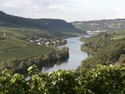 MS View of Mosel Valley / Wincheringen, Rhineland-Palatinate, Germany, Luxembourg Stock Footage