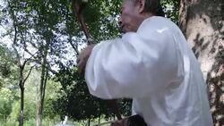 old man playing chinese traditional erhu in the park Stock Footage