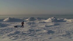 walking Stock Footage