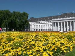 WS Field of yellow marigold infront of electoral palace / Koblenz, Rhineland-Palatinate, Germany Stock Footage
