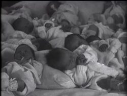 Leap Year: News Clip