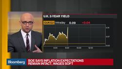 BOE May Make Smaller Adjustments, Says RBC's Lignos News Clip