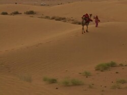 Rajasthani woman walking on desert, Sam Desert, Jaisalmer, Rajasthan, India Stock Footage