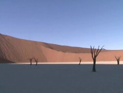 Tree trunks in barren scene, Dead Vlei, Namib-Naukluft, Namibia Stock Footage