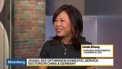 Zhang Sanguine on Domestic, Service Sectors in China, Germany News Clip