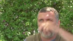 Rio's Olympic waterways still filled with trash and sewage, with time running out before Games News Clip