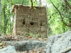 MS straw hut in forest, India Stock Footage