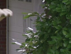 Footballer Andy Carroll has his car Torched News Clip