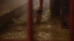 Sandalled feet walk along stone steps. Stock Footage