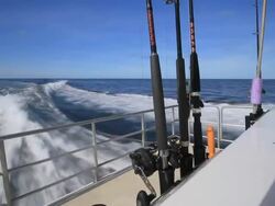 Gone fishing Stock Footage