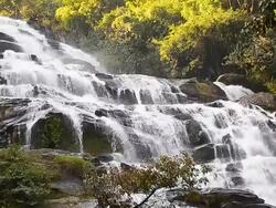 Cascade Waterfalls in Tropical Rainforests Stock Footage