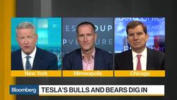 Tesla's Bulls and Bears Dig in News Clip