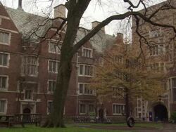 ATMOSPHERE - Yale University Campus B-Roll Stock Footage