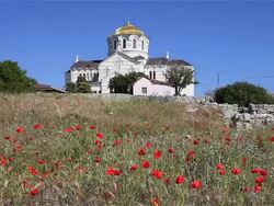 SAINT VLADIMIR CATHEDRAL AND POPPIES Stock Footage