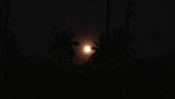 CLEAN : Philippines: la Super Lune brille au dessus du volcan Mayon News Clip