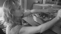 VOICED : Dutch police recruit rodents to rat News Clip