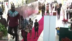 CLEAN : Kenya holds Black Panther premiere News Clip
