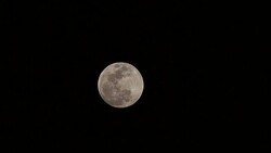 Full Moon Rising Time Lapse Stock Footage
