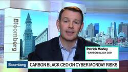 Carbon Black CEO Expects Cyberattacks to Rise in December News Clip