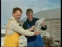 ANTARCTICA: FROZEN CONTINENT SUMMIT News Clip