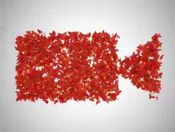 Movie Film Camera Symbol made by Orange Butterflies - Alpha Stock Footage