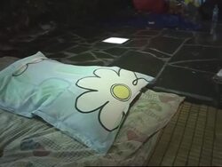 WRAP AP cover of displaced quake victims ADDS people on street; aid convoy News Clip